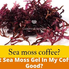Can I Put Sea Moss Gel In My Coffee? Is it Good?