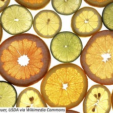 Liberal Arts Blog — How Many Sections Does an Orange Have?
