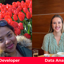 What is the difference between a Data Analyst and a BI Developer?