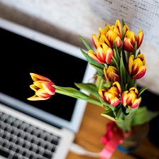 This Is How To Create A Pre-Launch Strategy For Your Book