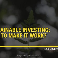 Sustainable Investing: How to Make It Work?