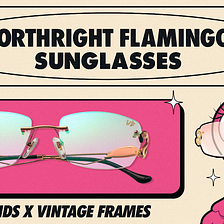 VeeFriends x Vintage Frames: Forthright Flamingo Sunglasses