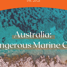 Australia: Avoid These 5 Marine Creatures if You Treasure Your Life