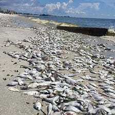 Florida: So Long, and Thanks for All the Dead Fish