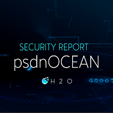 psdnOCEAN Security Report
