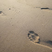 Sustainable travel: 7 tips