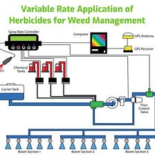 Variable-Rate Herbicide Application in Precision Weed Control 🌼