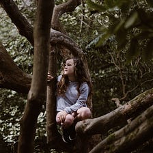 Childhood Forest