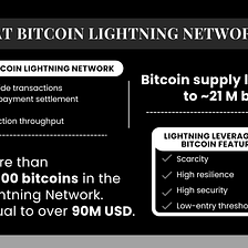 Why Do We Need the Bitcoin Lightning Network?
