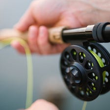 What Type Of Fish Can You Catch With Fly Fishing?