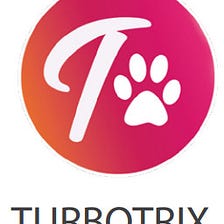 TurboTrix Finance — ecentralized utility project with two blockchains on BSC and Twin TurboTrx on…