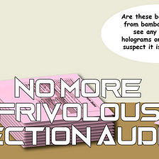 No More Frivolous Election Audits!