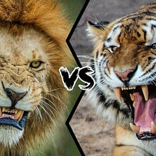 Lion vs Tiger: Who Is Stronger ?