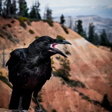 The Crow and the Pitcher, Or How to Build Your Professional Network Every Day
