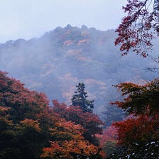 Nourishing the Soul On an Autumn Hike to Minoh Falls, Japan