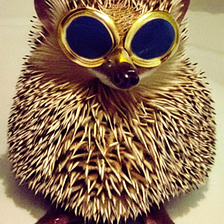 These hedgehog facts are so surprising, they’ll leave you speechless!