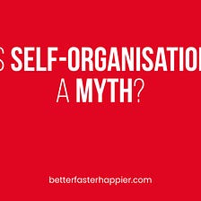 Is Self-Organisation a Myth?