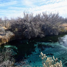 Photographing Ash Meadows Wildlife Refuge