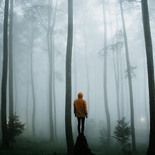 Professionally Lost: The Dark Days of Making a Career Shift