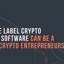 How White Label Crypto Exchange Software Can be a Boon For Entrepreneurs?