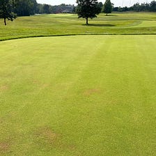 August Woes: LDS, Scalp Injury, Rust Begins, and Fineleaf Fescue Research
