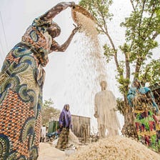 A new vision for Nigerian rice