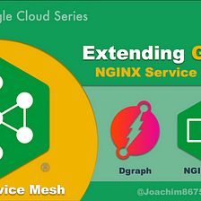 GKE with NGINX Service Mesh 2