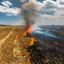 RCA for Stubble Burning
