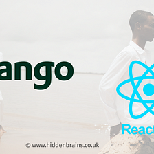 Django Vs React JS: What is the difference and which is the best?