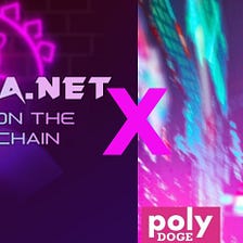 PolyDoge x Dogira: Growing the Ecosystem