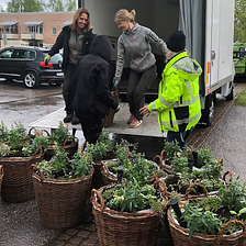 Gävle: Making places for biodiversity awareness