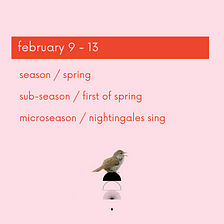 Microseason: nightingales sing