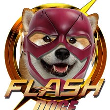 WELCOME TO FLASH DOGE