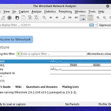 Wireshark Part-2(Interface and Usage)