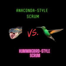 Are you practicing Anaconda or Hummingbird-style Scrum?