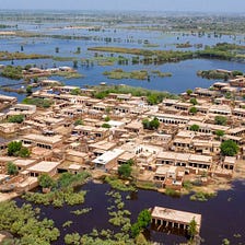 A Summer of Disasters and Disinformation