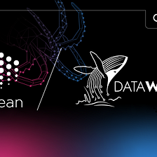 Data Whale announces the launch of ALGA, the first mobile DeFi wallet for the Ocean Market