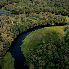 ReFi Community Coordinates To Save The Congo Basin