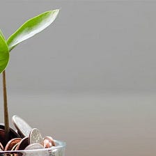 How to Win Market Competition and Cultivate an Evergreen Business: 5 Tips on Swimmingly Growing B2B…