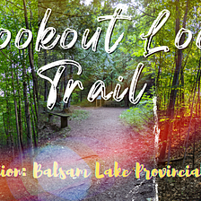 Our Latest Hiking Exploration in Balsam Lake Provincial Park, Ontario, Canada