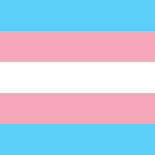 Transgender Persons (Protection of Rights) Act, 2019