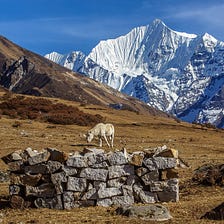 The Most Popular Langtang Trekking Trail in Nepal