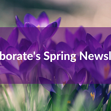 Collaborate’s Spring Newsletter: Will the NHS reforms deliver on collaboration promises?