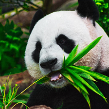 14 Pandas functions for Data Science