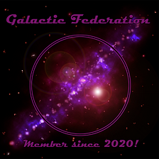 What Might a Galactic Federation Look Like?