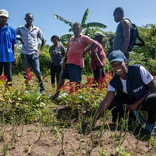 Agricultores del norte de Haití buscan hacerse resilientes