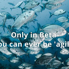 Only in Beta you can ever be ‘agile’