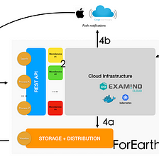 ForEarth — How to involve citizen in environmental issues with EO?