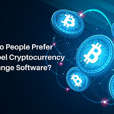 Why Do People Prefer White-Label Cryptocurrency Exchange Software?