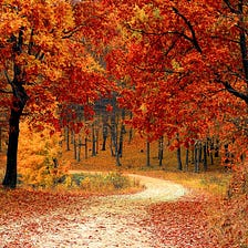 3 ways to harness the energy of the Autumn Equinox to balance and transform
